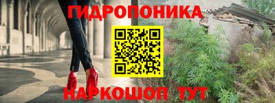 Альфа ПВП Кунгур