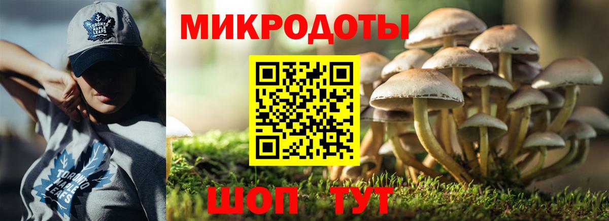 Галлюциногенные грибы Psilocybe Ковров